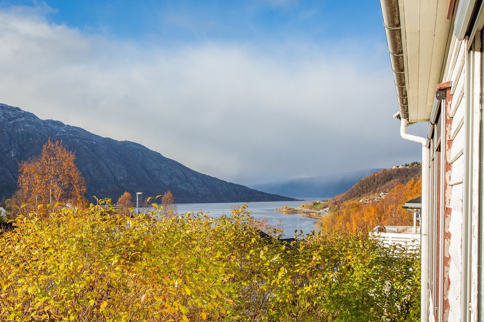 Fin utsikt ut Vefsnfjorden Galleribilde