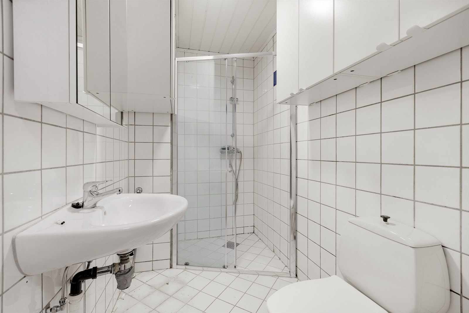 Badet har toalett, servant og et romslig dusjhjørne. Galleribilde