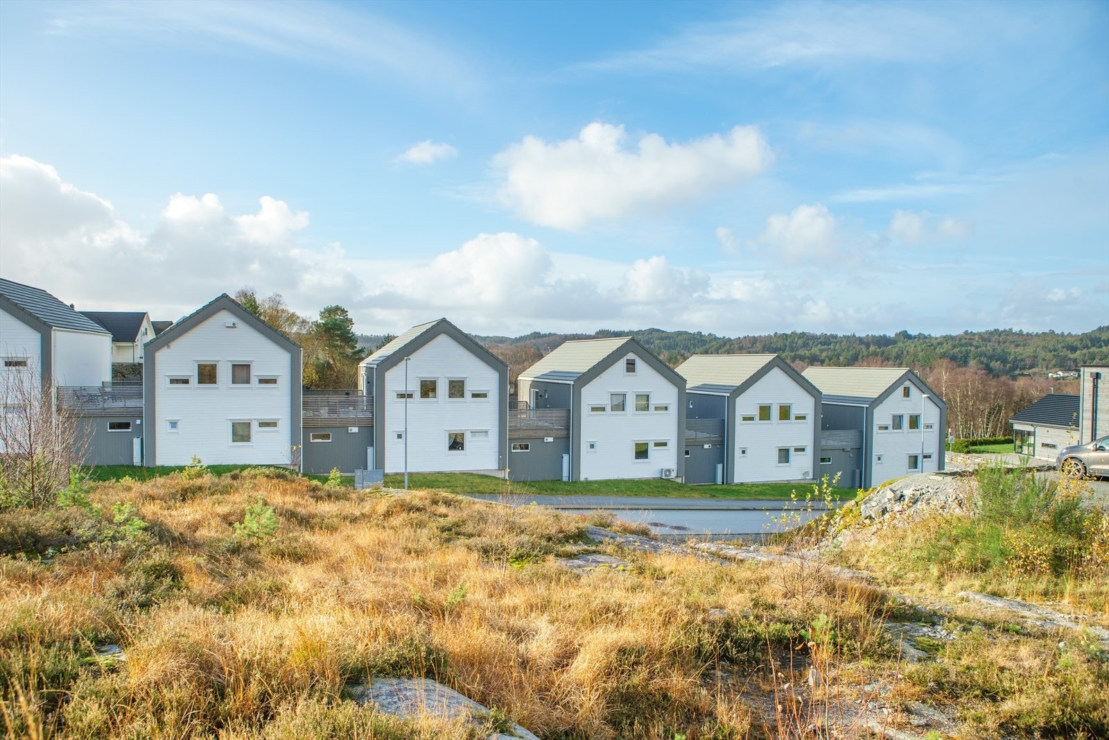 DSC00138.jpg Galleribilde