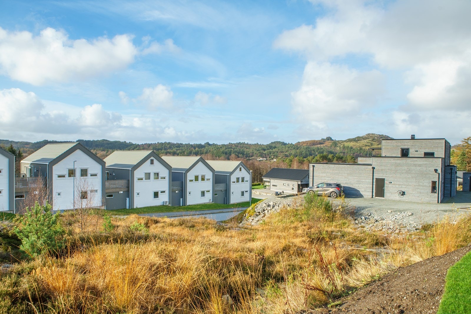 DSC00139.jpg Galleribilde