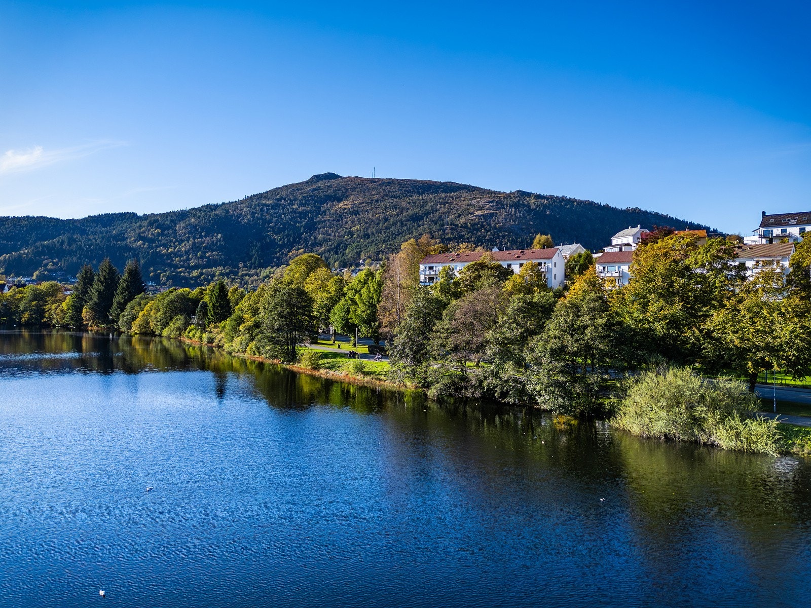 Like ved finner du Sletten senter med et hav av butikker, apotek, vinmonopol og kaféer. Hit spaserer du til på kun noen få minutter. Galleribilde