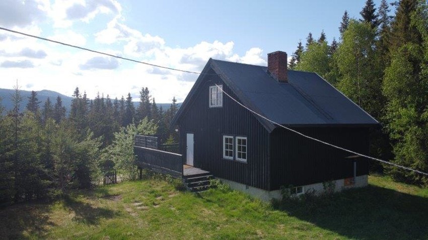 Sommerbilde av tunet. Galleribilde