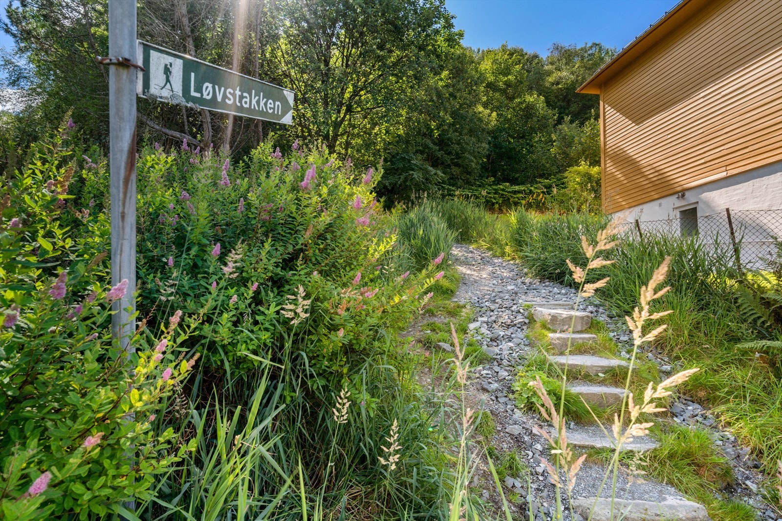 - Usikker på hvor søndagsturen skal gå? Like ved leiligheten finner du sti opp til Løvstakken! - Galleribilde