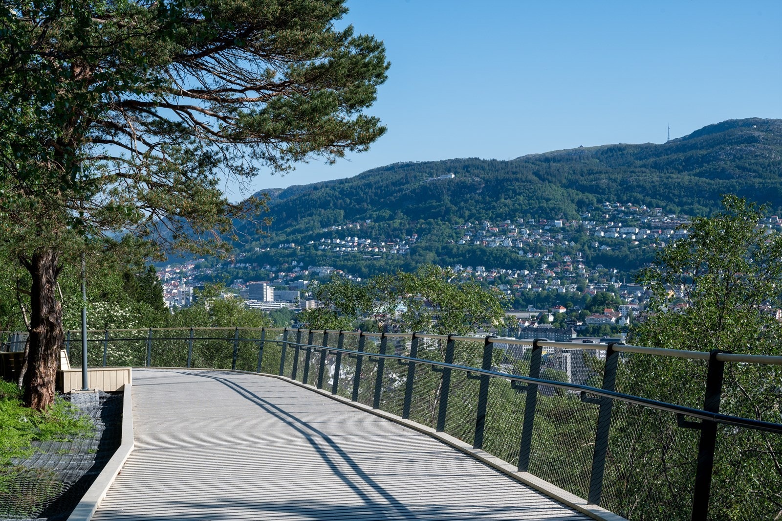- Turveien Løvstien er en populær turvei som følger foten av Løvstakken - Galleribilde