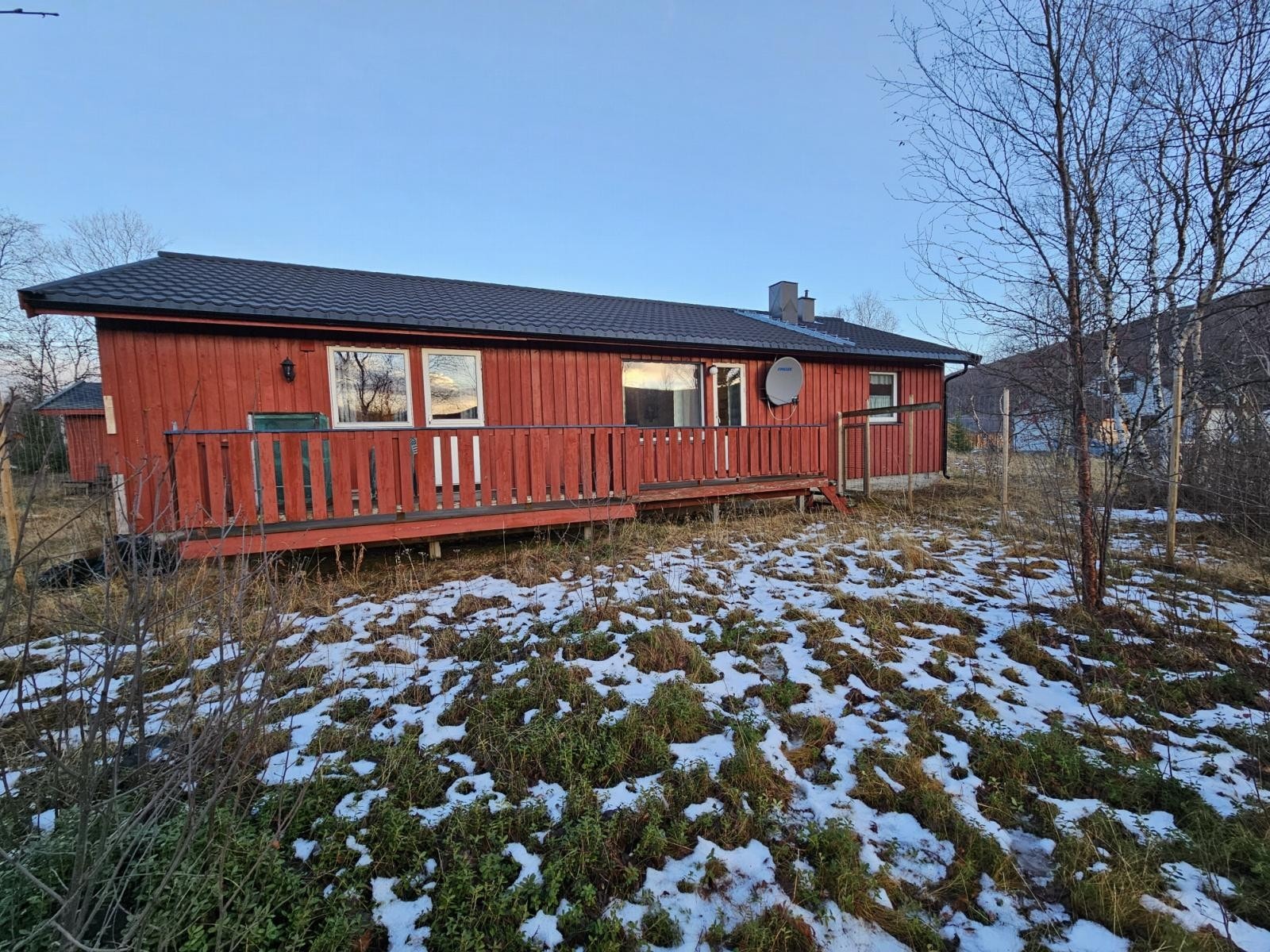 Del av hagen Galleribilde