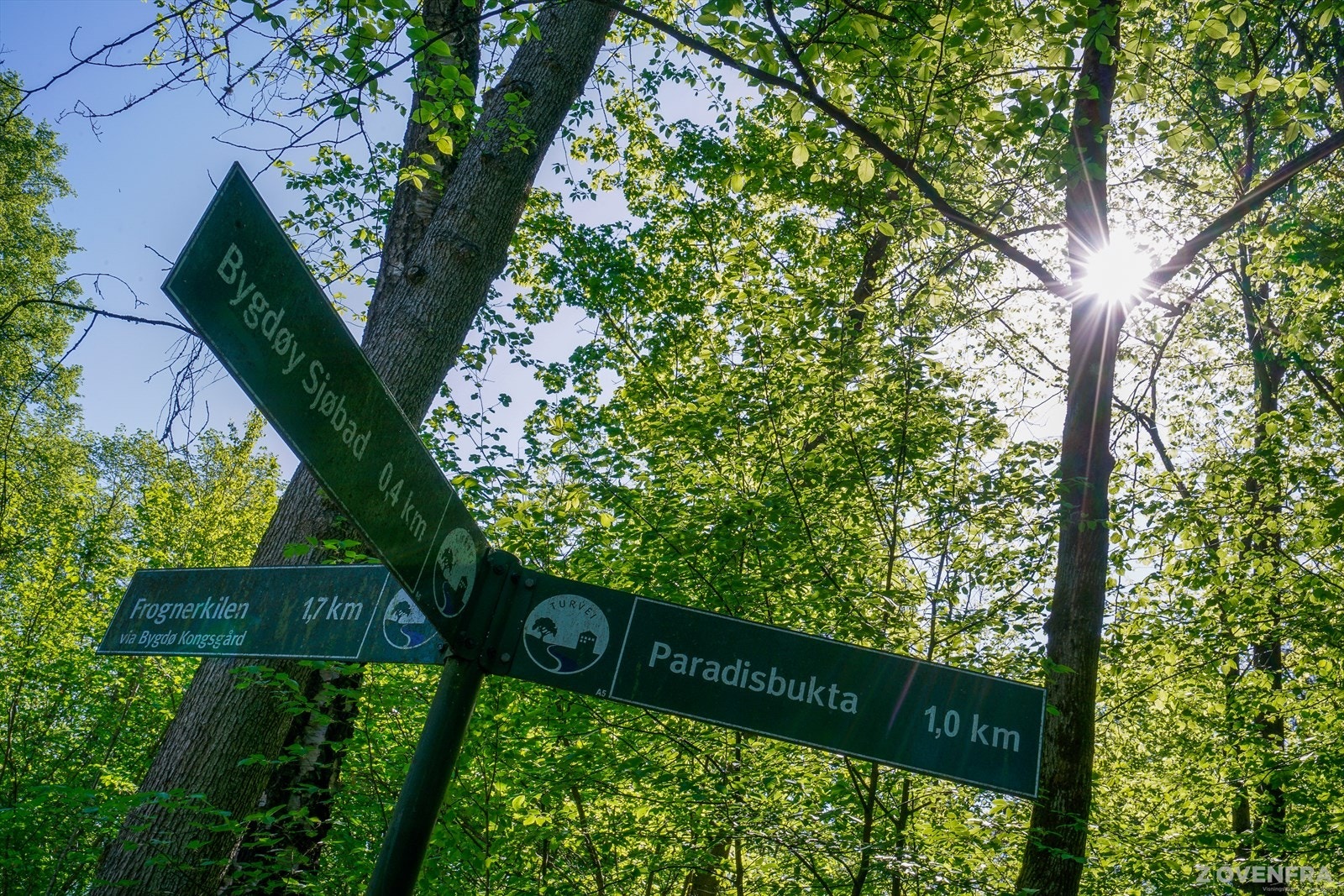 Er du glad i å bade, er det mange flotte strender langs hele kysten. På sommeren kan du ta en deilig tur til Huk badestrand, Paradisbukta eller Bygdøy Sjøbad - perfekte steder for hele familien! Galleribilde