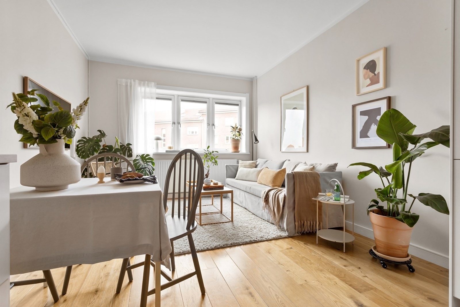 God takhøyde på 2,68 meter Galleribilde