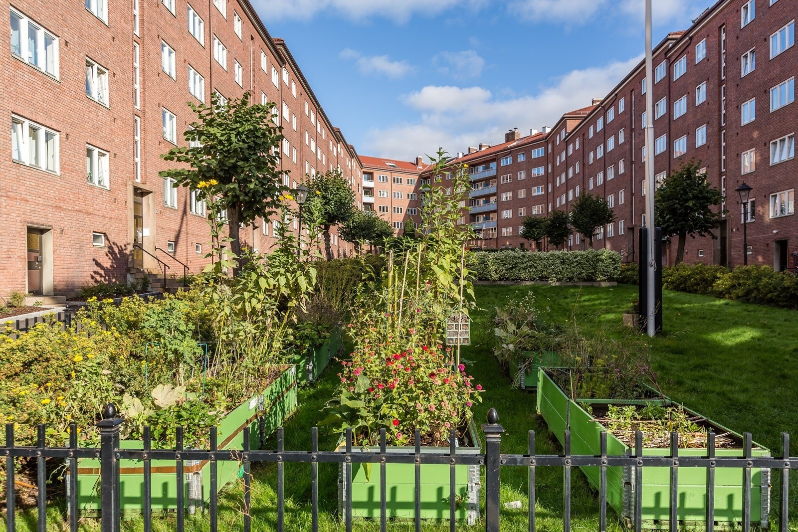 Det skjer mye i borettslaget. Det har blant annet fast besøk av nissekorpset under julegrantenningen, og skolekorps som spiller til heving av flagget på 17 mai Galleribilde