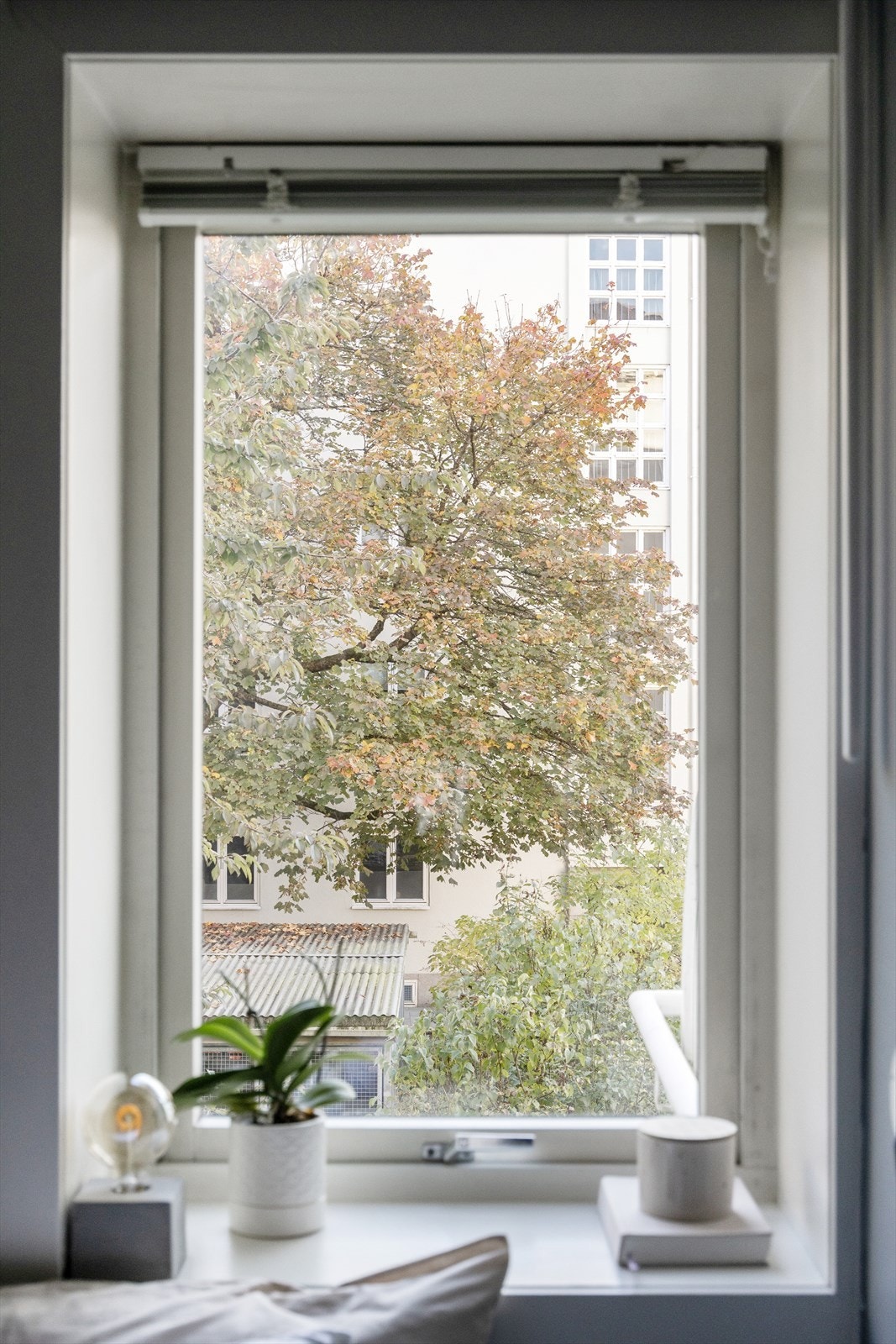 Leiligheten har gode vindusflater (2006) med dype karmer som gir fine lysforhold i leiligheten Galleribilde