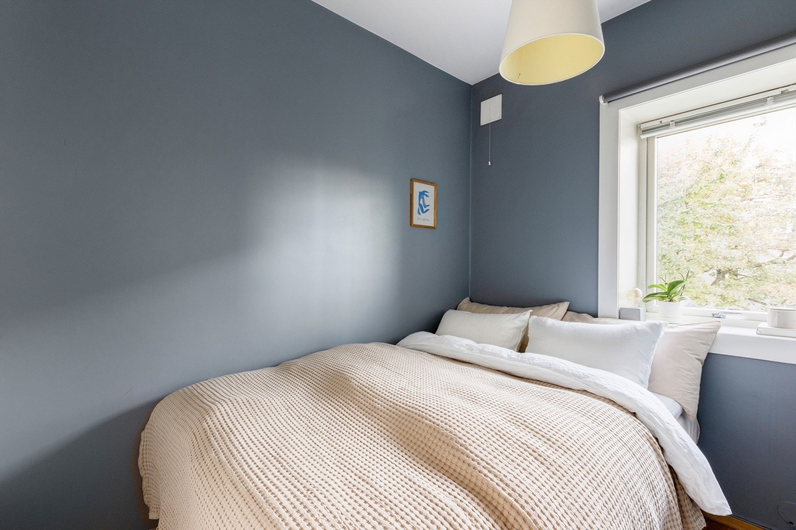 Leiligheten har et lunt soverom med plass til dobbeltseng og nattbord Galleribilde