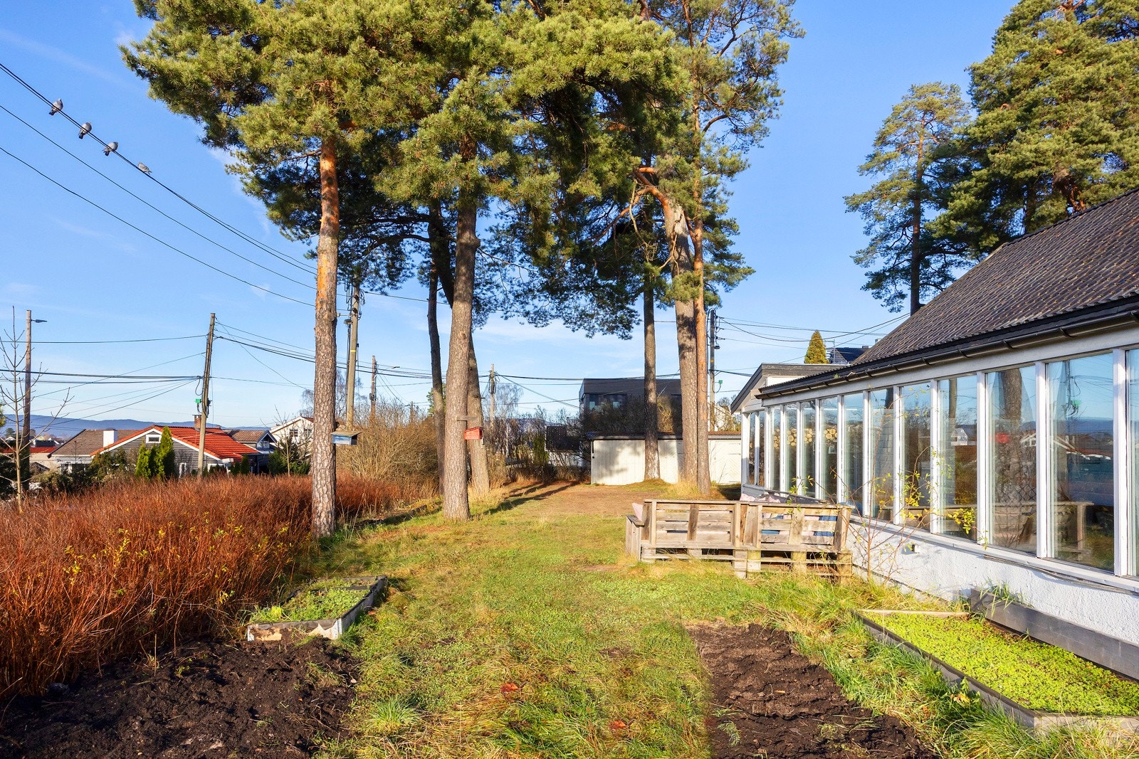 Hagen har et stort potensial. Galleribilde