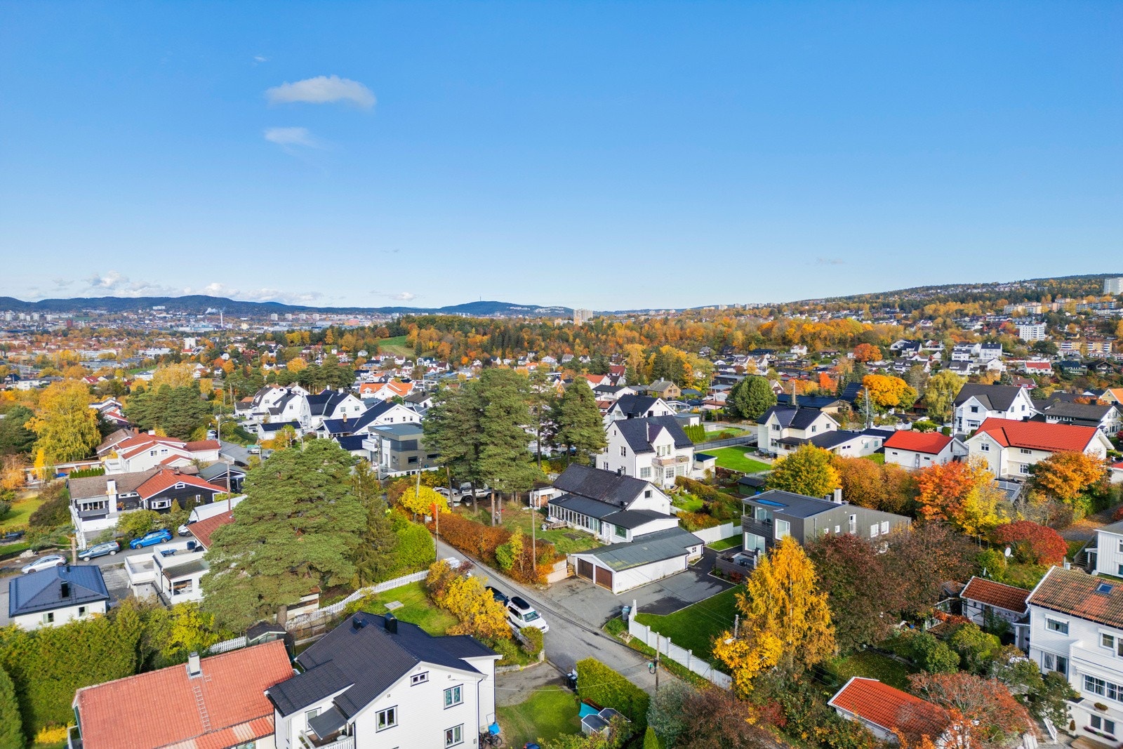 Dronefoto over nærområdet. Galleribilde
