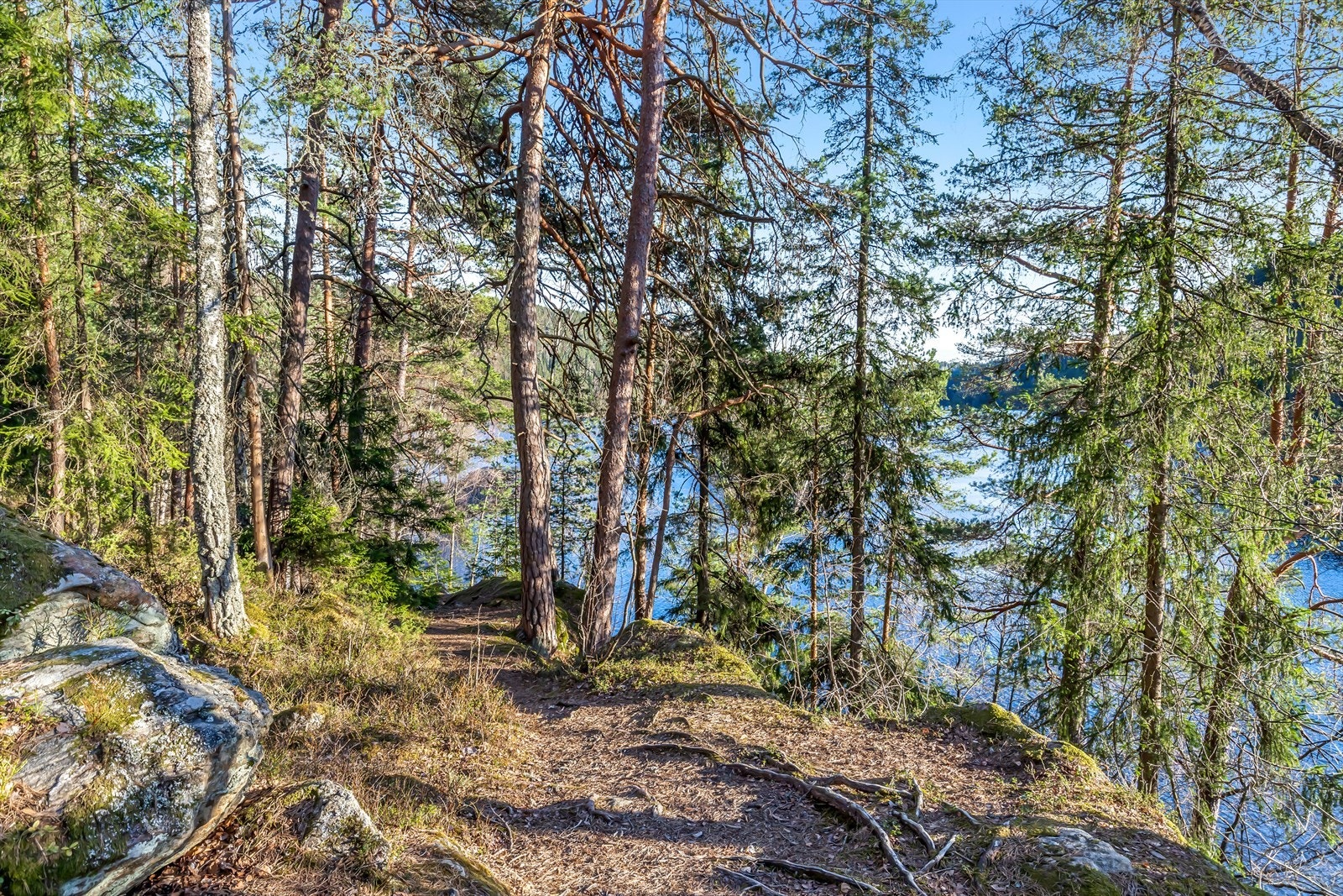 Området har nærhet til vakre Østmarka med turstier og friluftsliv. Galleribilde