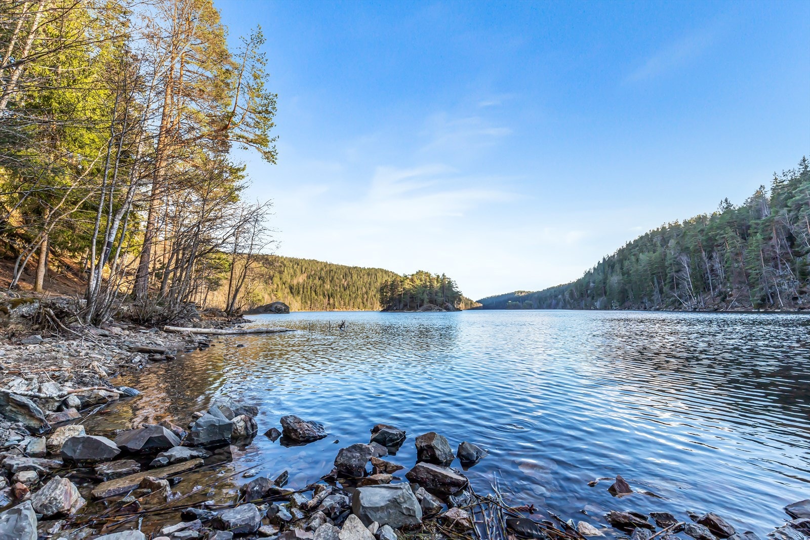 Lutvann er et populært friluftssted som byr på badevann og fiske, ideelt for naturentusiaster. Galleribilde