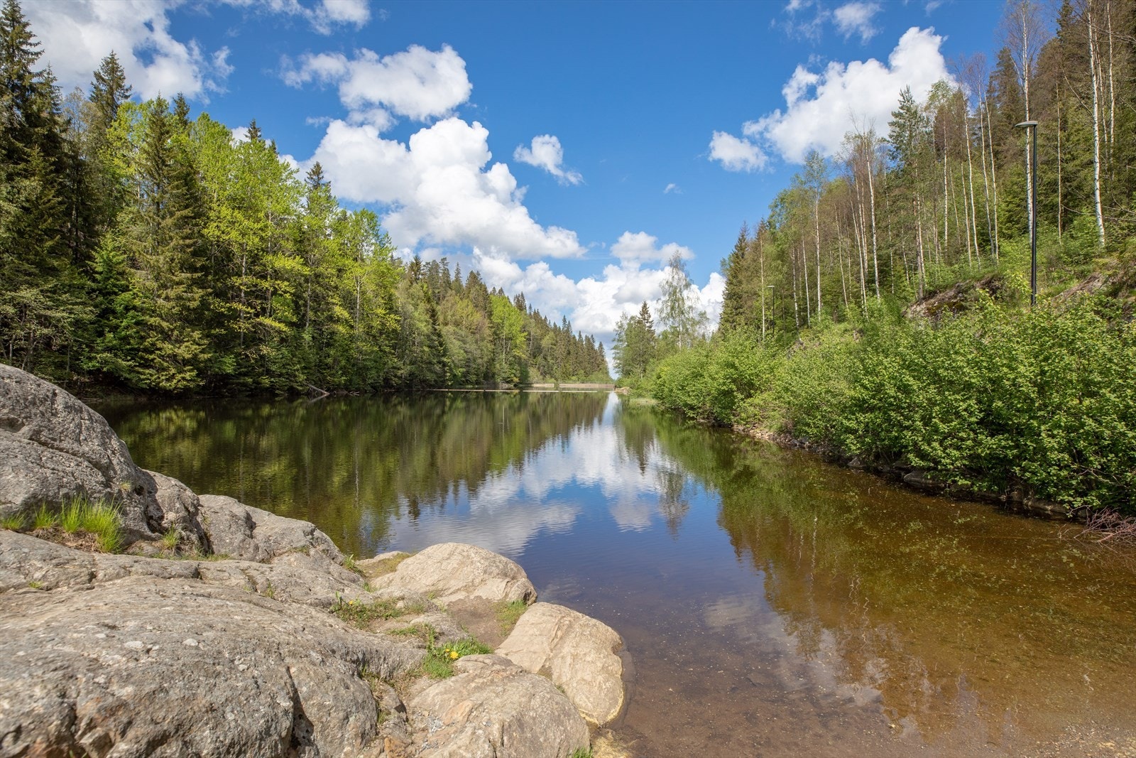 Det er gangavstand inn til Åmodtdammen fra boligen! Galleribilde
