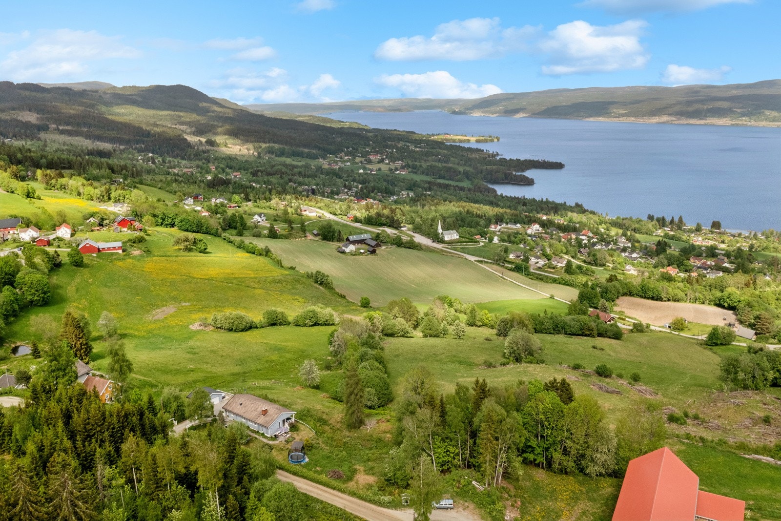 Idylliske Feiring. Galleribilde