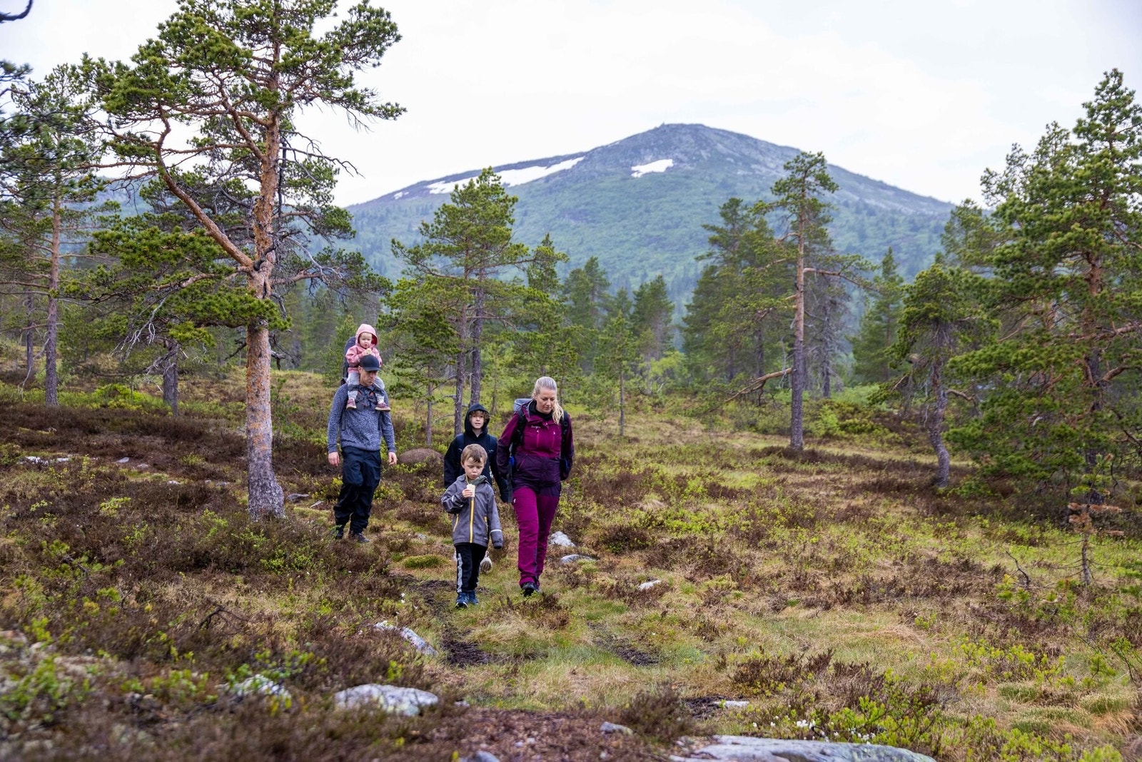 Flott turterreng sommer som vinter Galleribilde