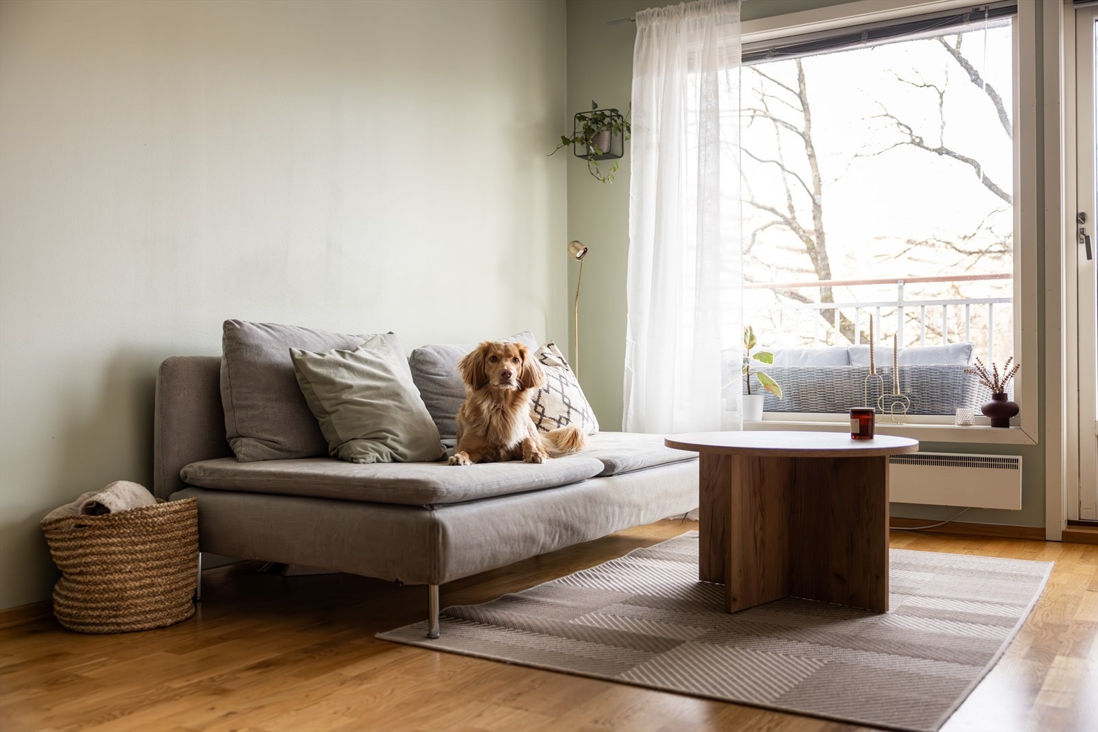 Store vindusflater gir rikelig med naturlig lys og en luftig atmosfære. Galleribilde