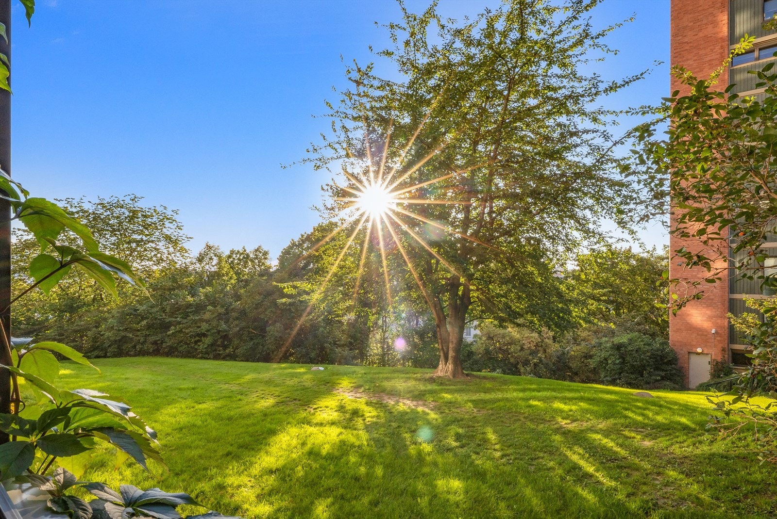 Beliggende usjenert og rolig til, tilbaketrukket fra vei og biltrafikk. Galleribilde