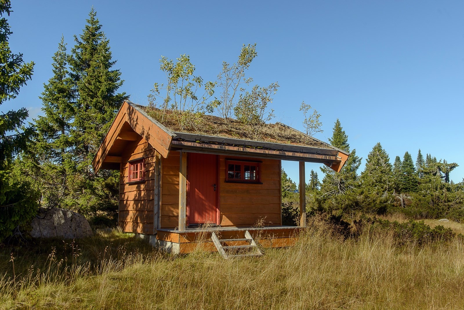 Det står i dag en liten, enkel bod på tomten. Galleribilde
