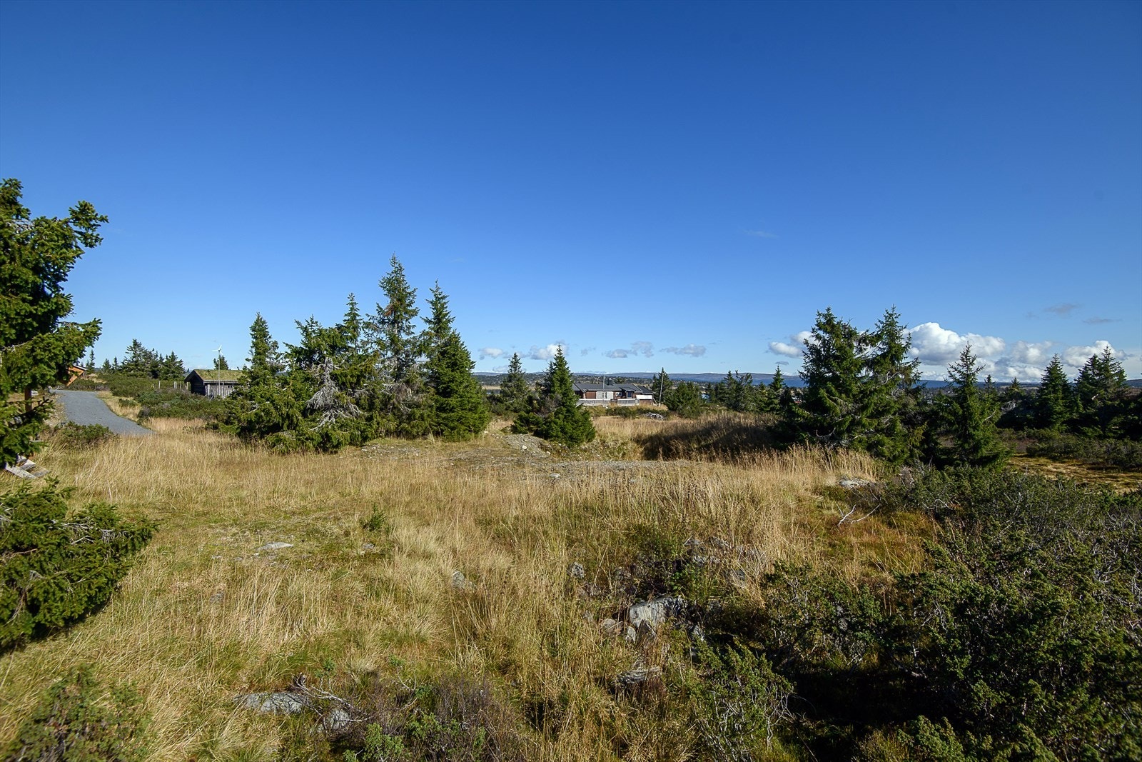 Relativt flatt terreng rundt tomta. Galleribilde