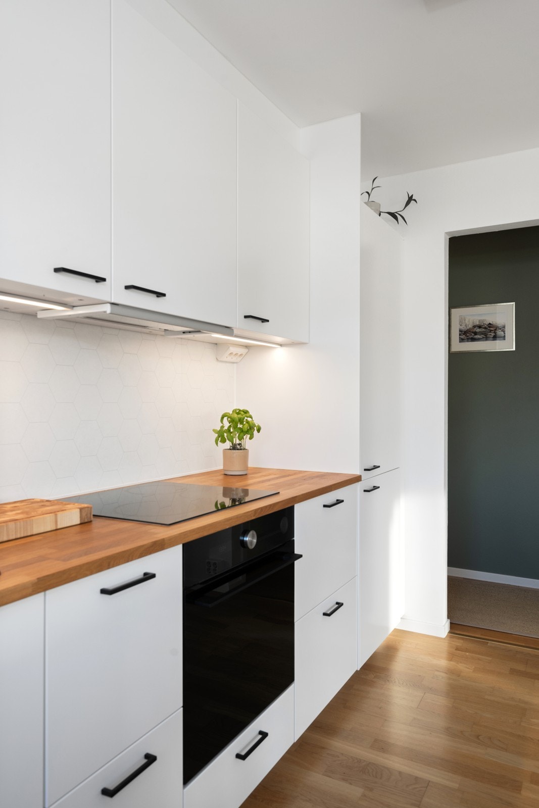 Integrerte hvitevarer Galleribilde