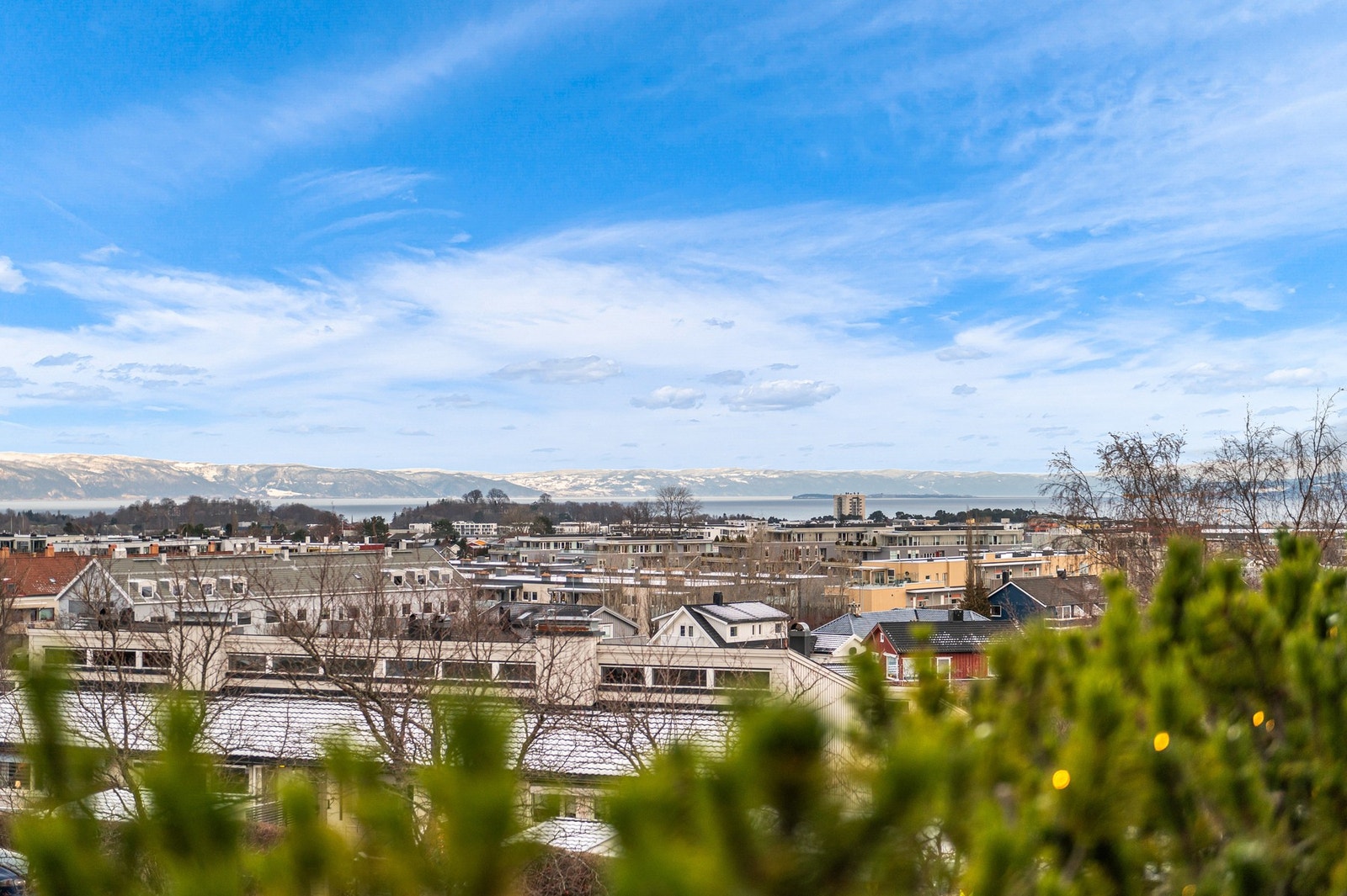 Flott utsikt over Trondheimsfjorden. Galleribilde