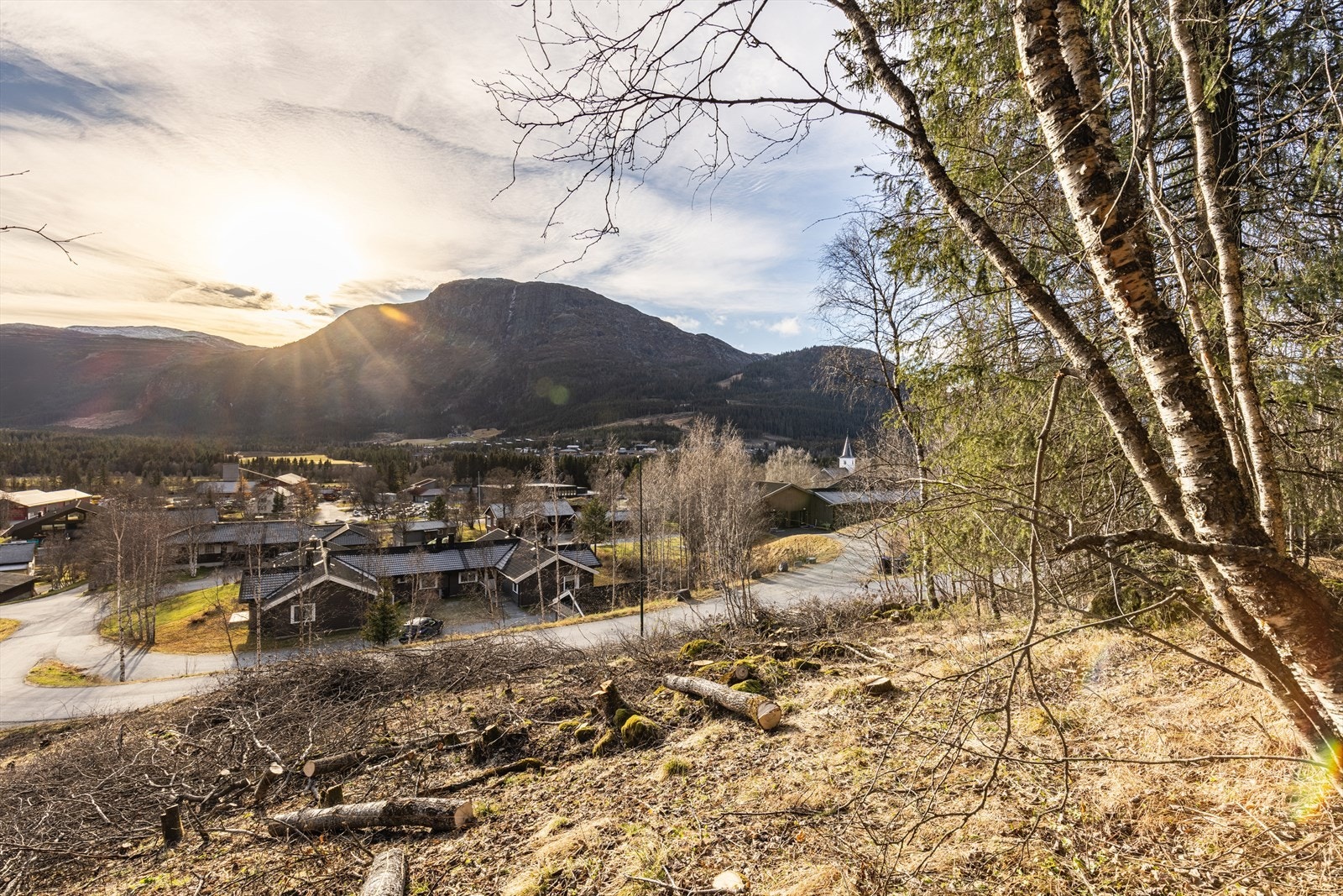 Utsikt fra tomta. Galleribilde