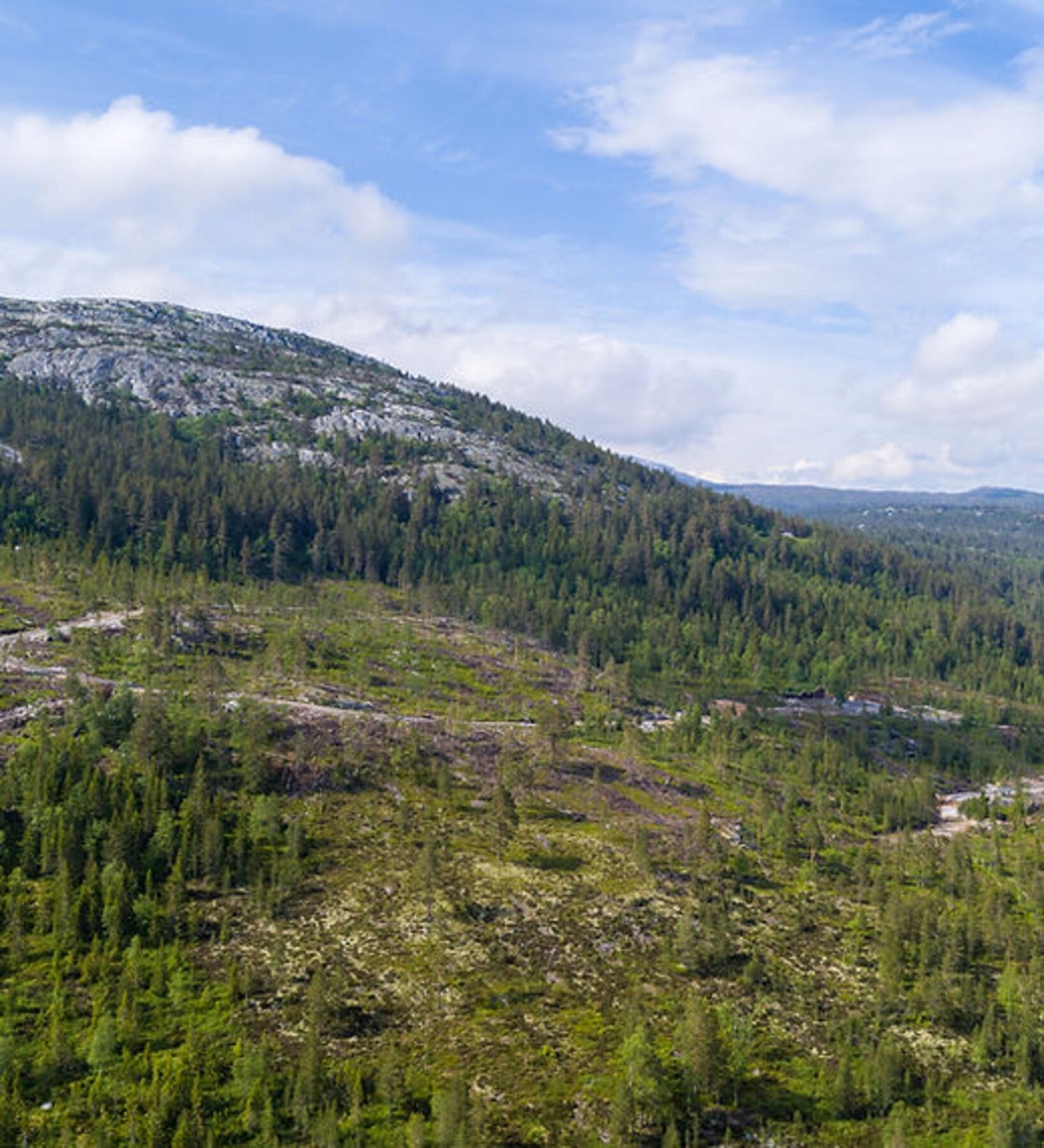 Foto fra tomteområdet Galleribilde