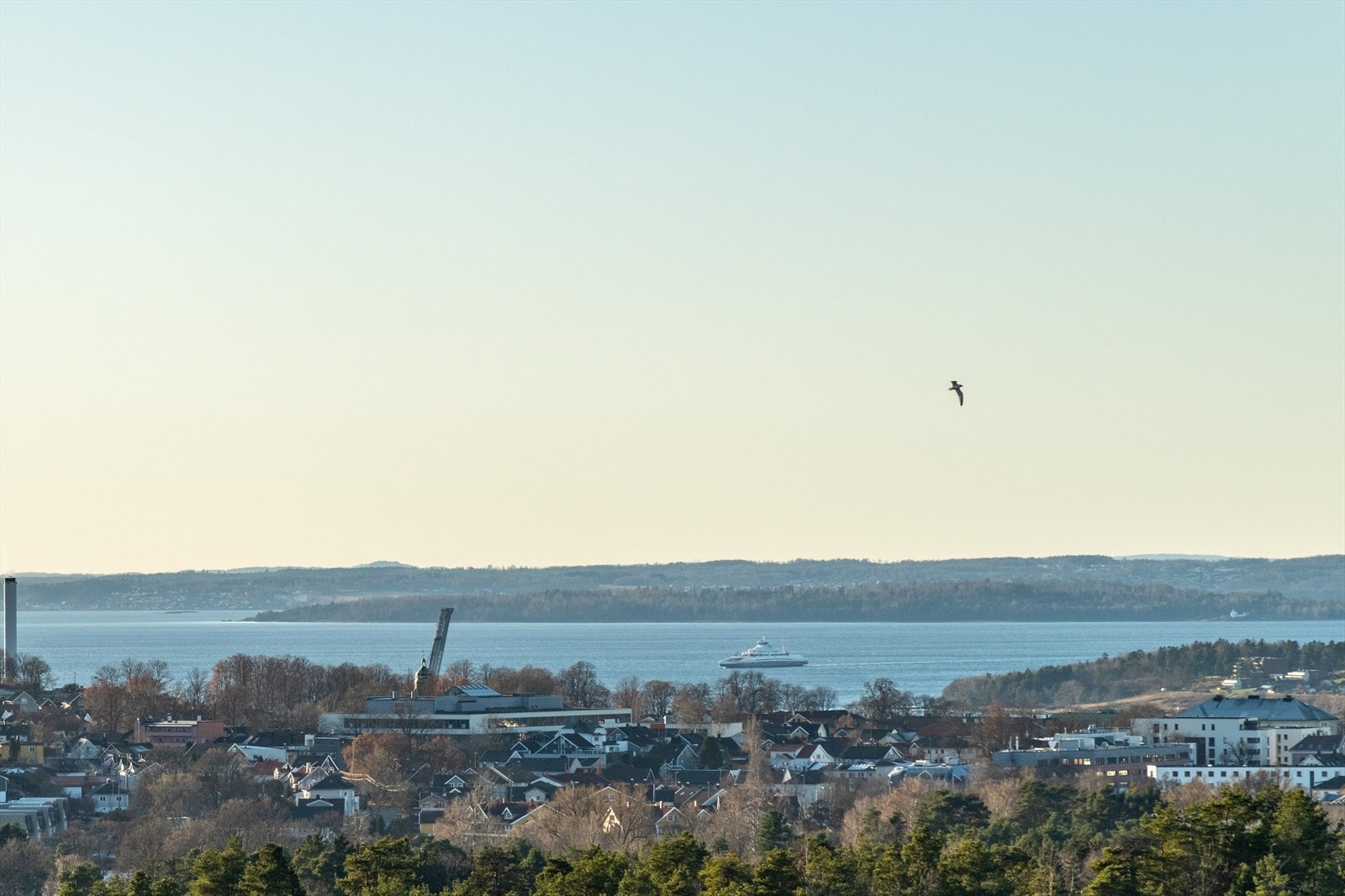 DSC_3895.jpg Galleribilde