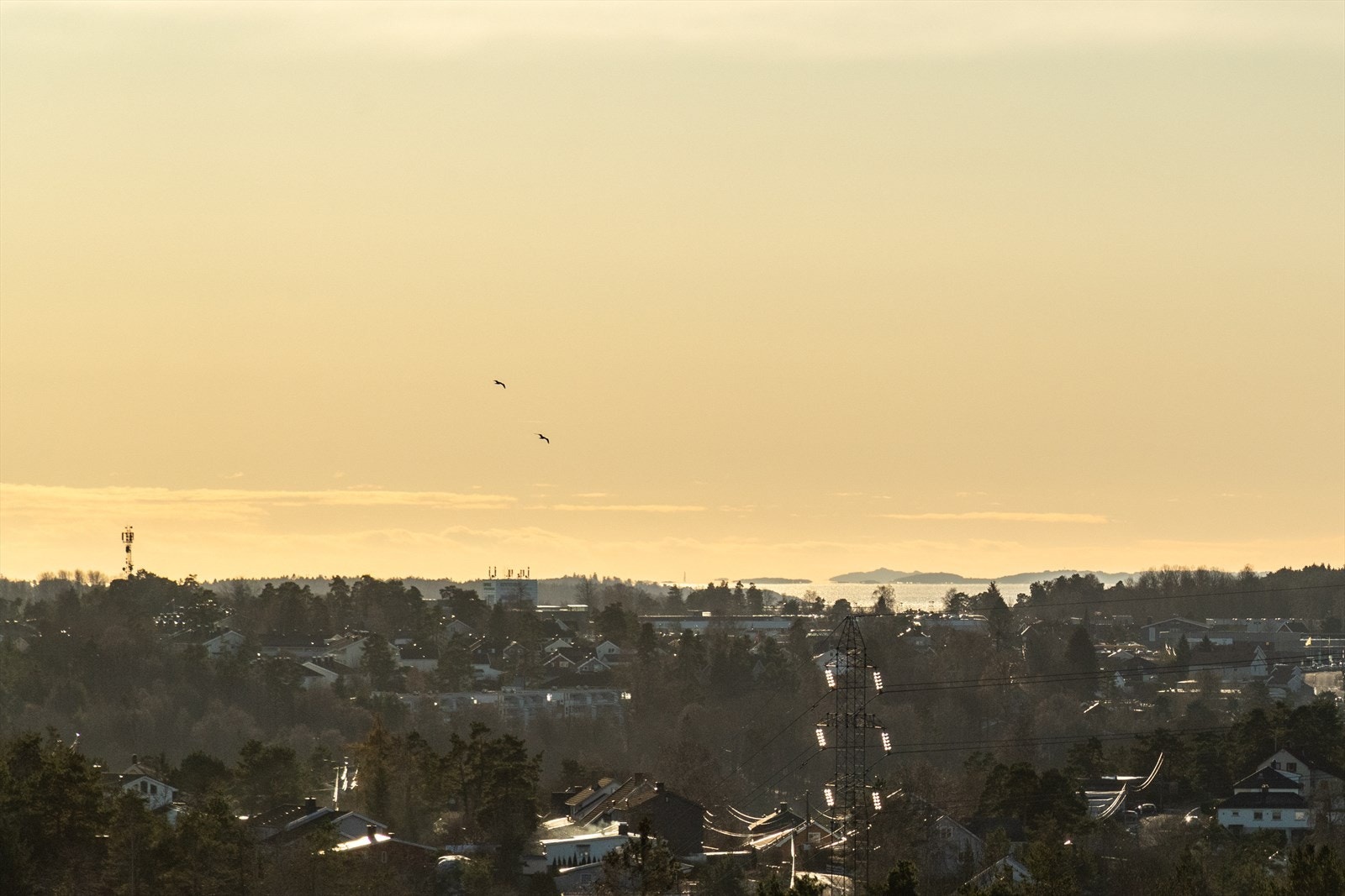 DSC_3904.jpg Galleribilde