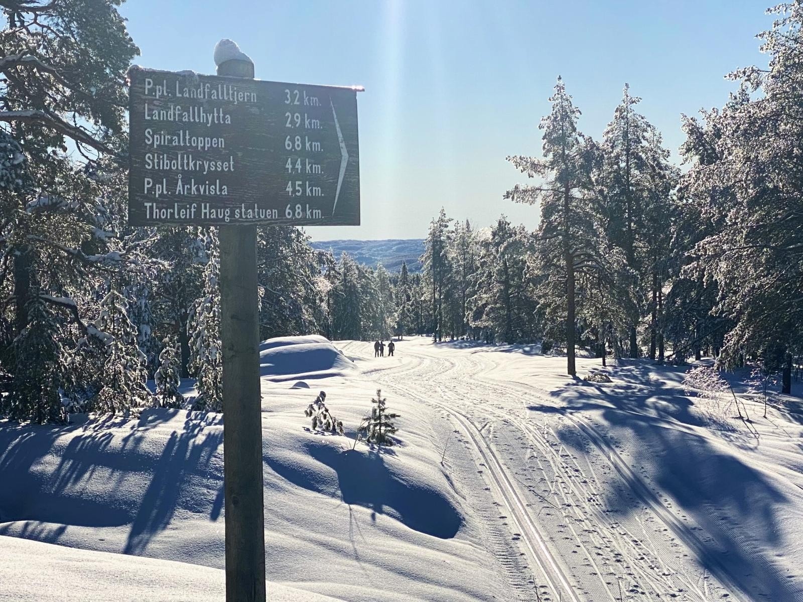 Nærhet til marka med oppkjørte skiløyper (skøyteski og klassisk) Galleribilde