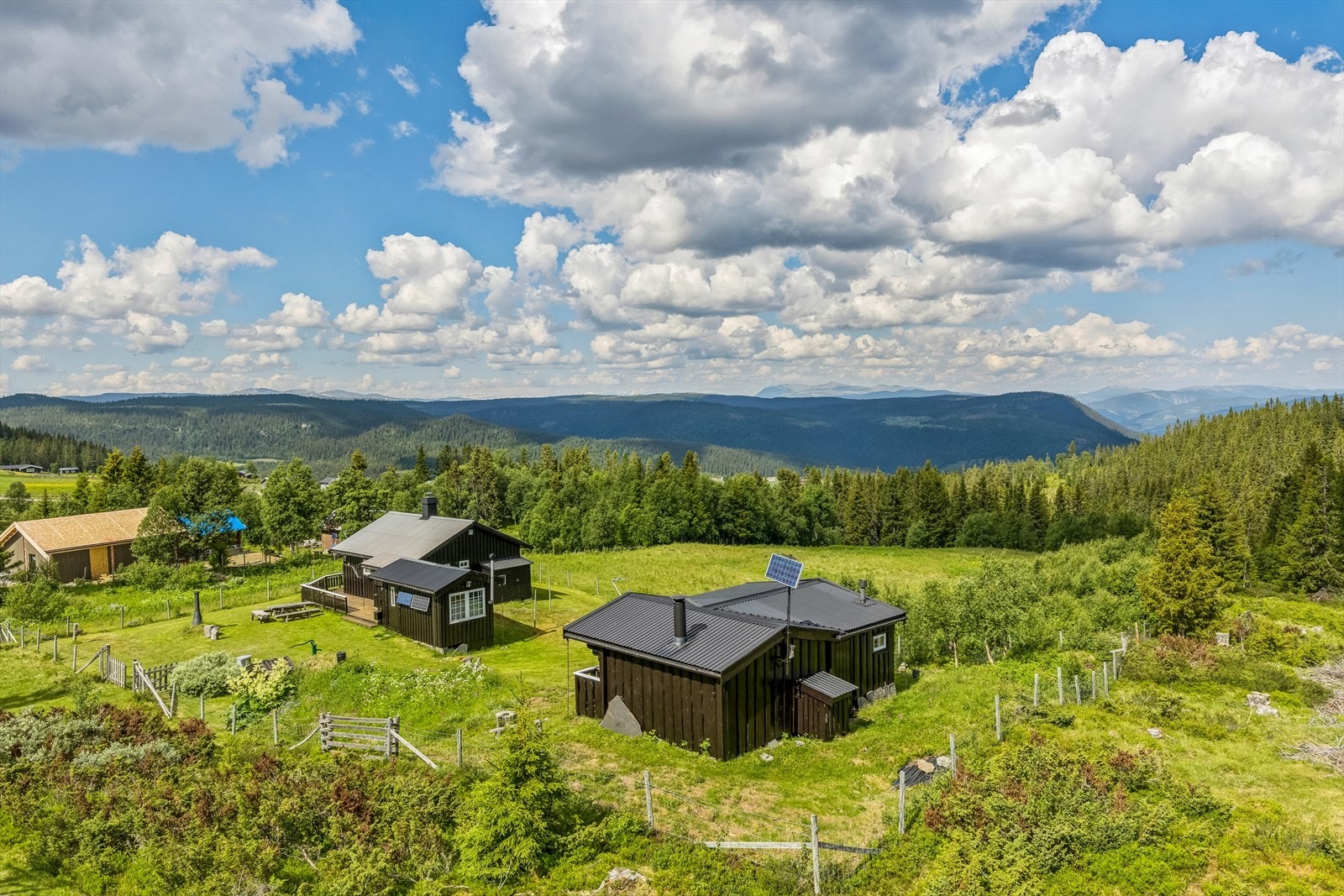 Eiendommen har dels naturtomt og dels gressmark. Galleribilde