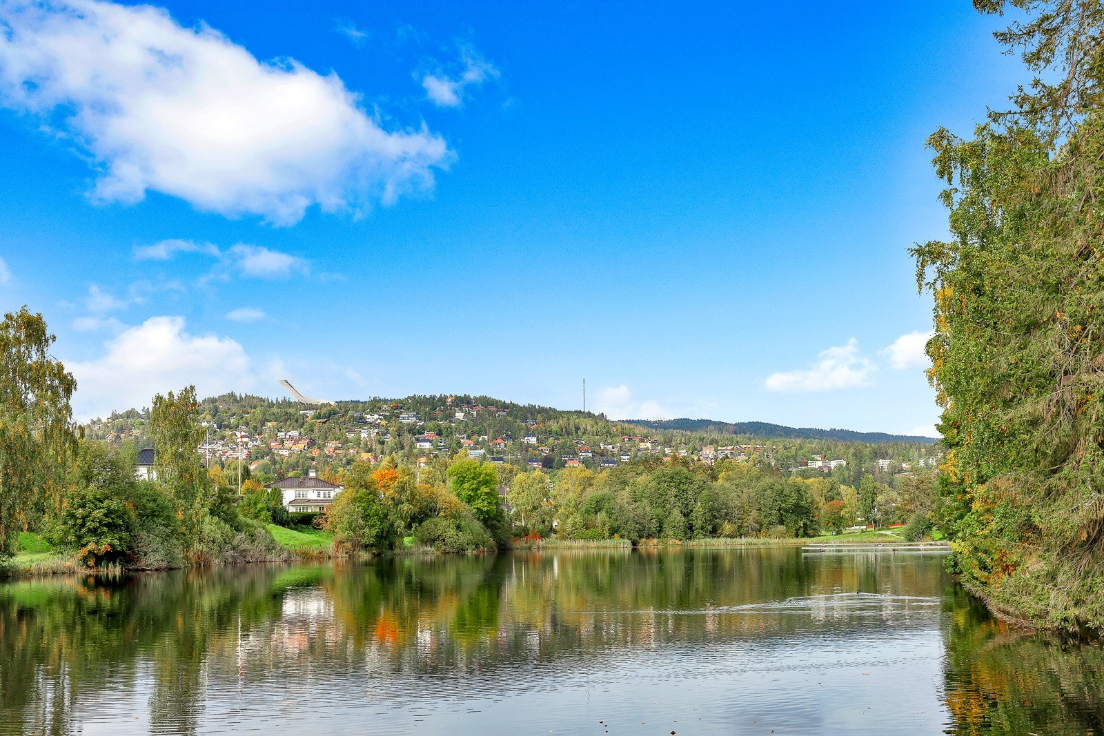 Holmendammen har et parkområde perfekt for søndagsturene. Galleribilde