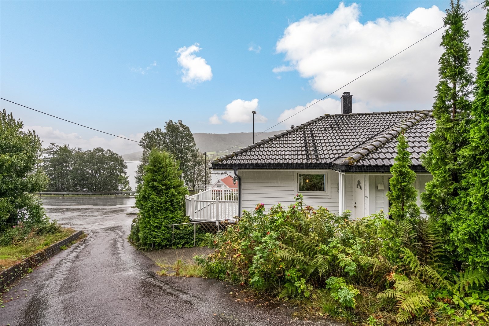 TIM08263 Galleribilde