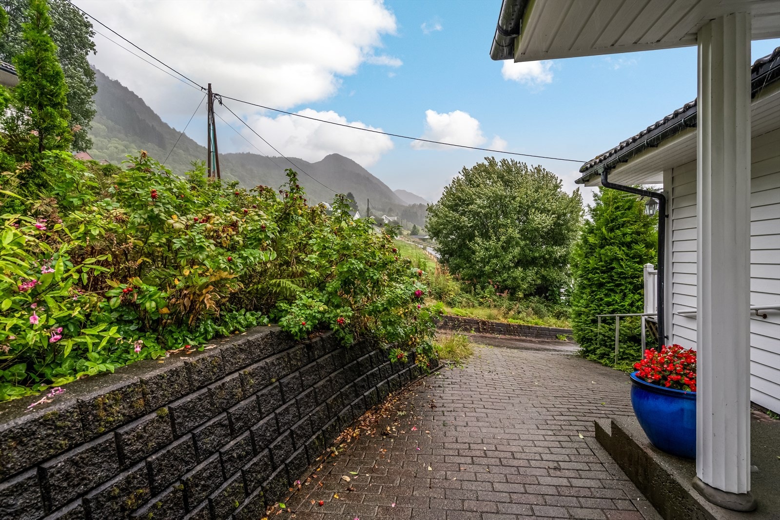 TIM08262 Galleribilde