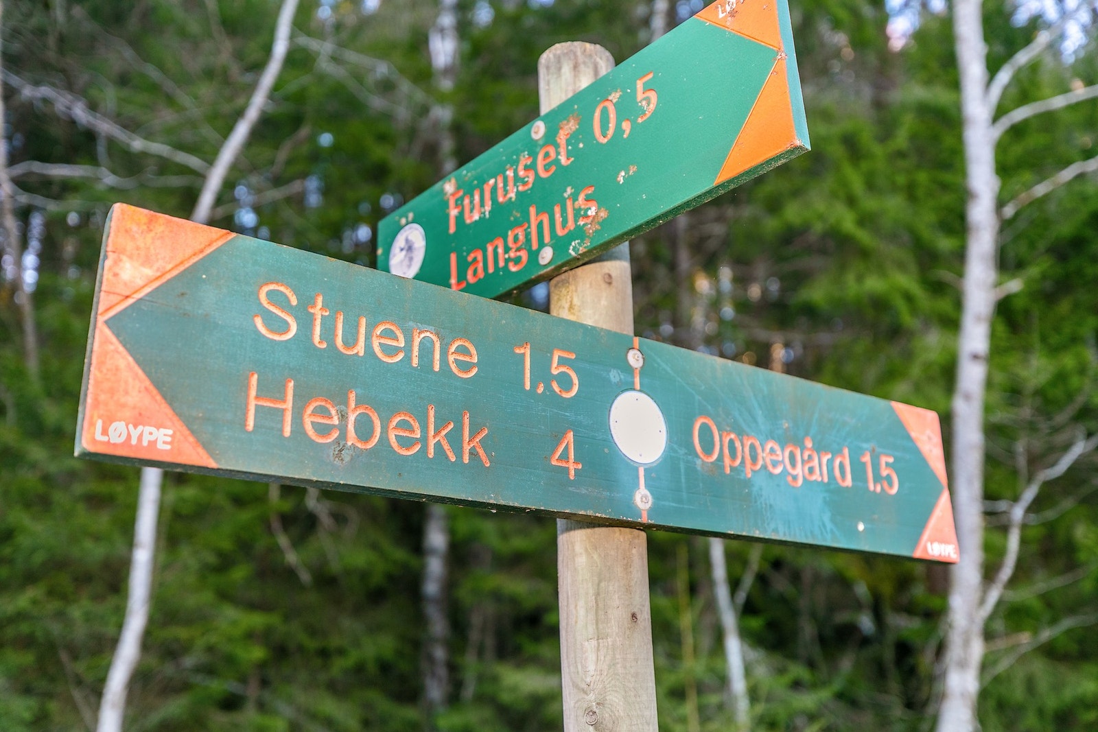 Fra eiendommen har du umiddelbar tilgang til Nøstvedtmarka, som byr på lysløyper, langrennsspor, terrengsykkelstier, fiskevann og kanomuligheter. Galleribilde