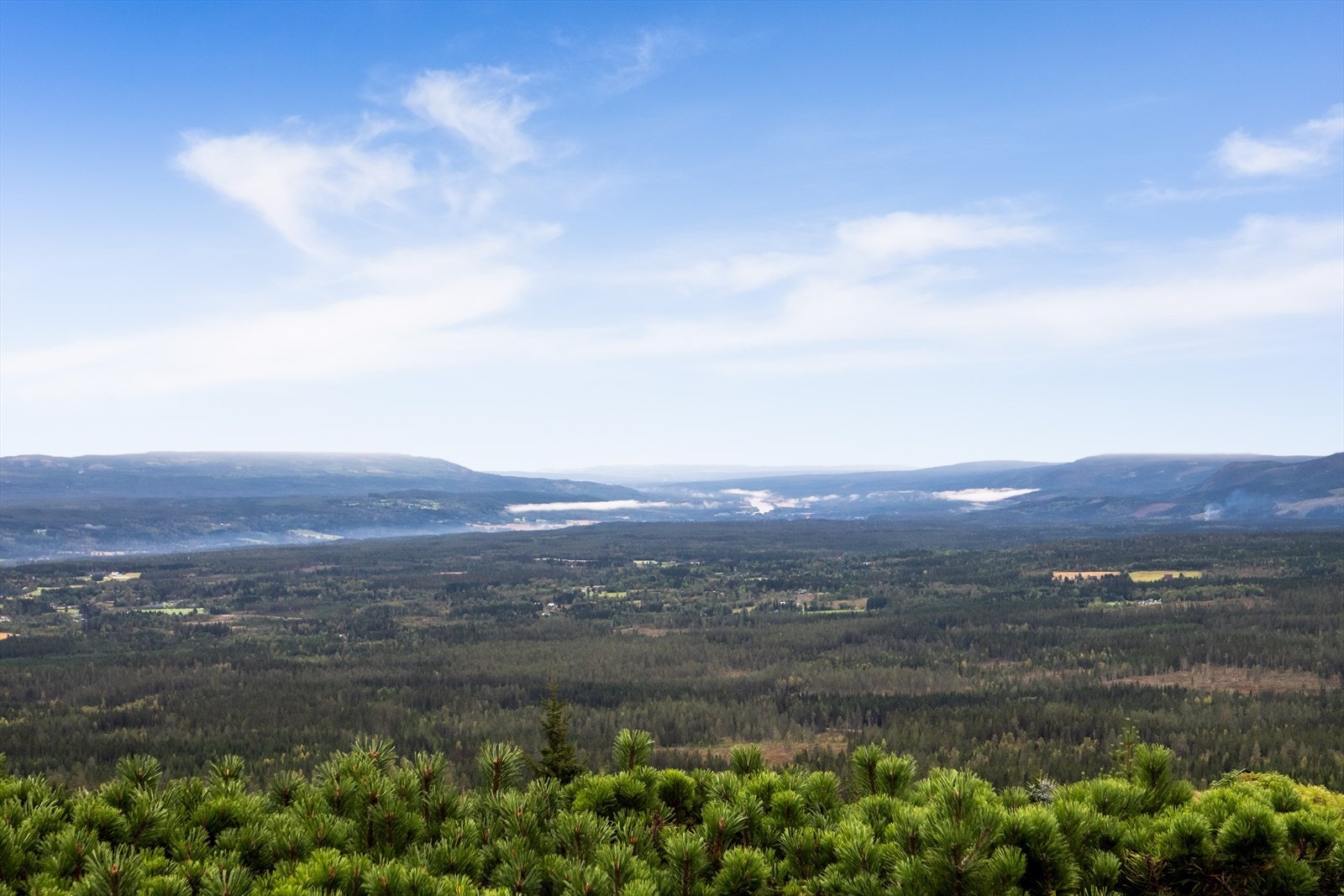 Utsikten. Galleribilde