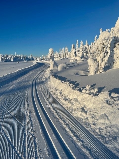 Nydelige skiløyper i nærområdet. Galleribilde