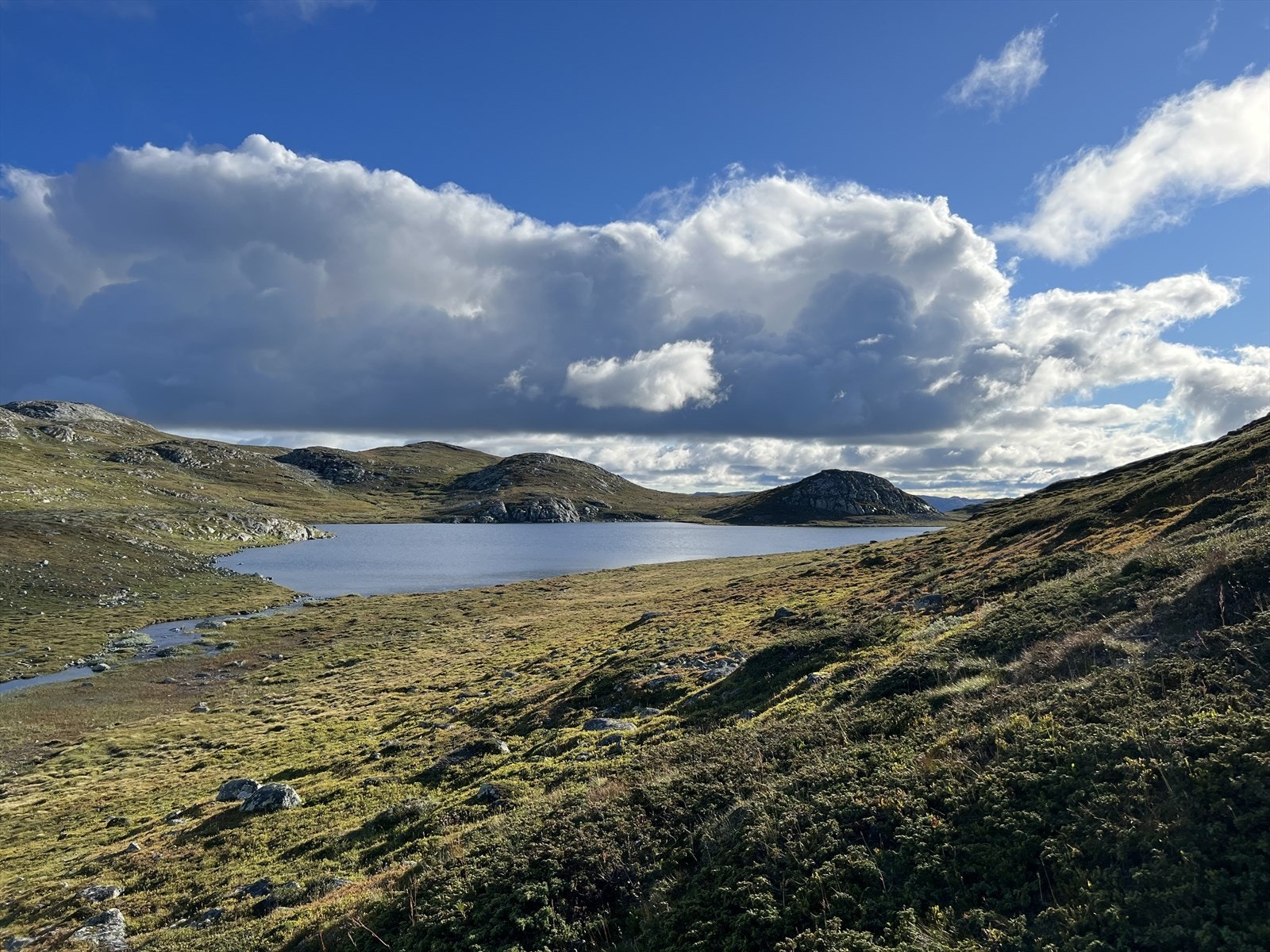 Her kan du gå de flotteste turere på Hardangervidda - Nord-Europas største høyfjellsplatå, hvor naturens rå skjønnhet møter uendelige vidder. Galleribilde