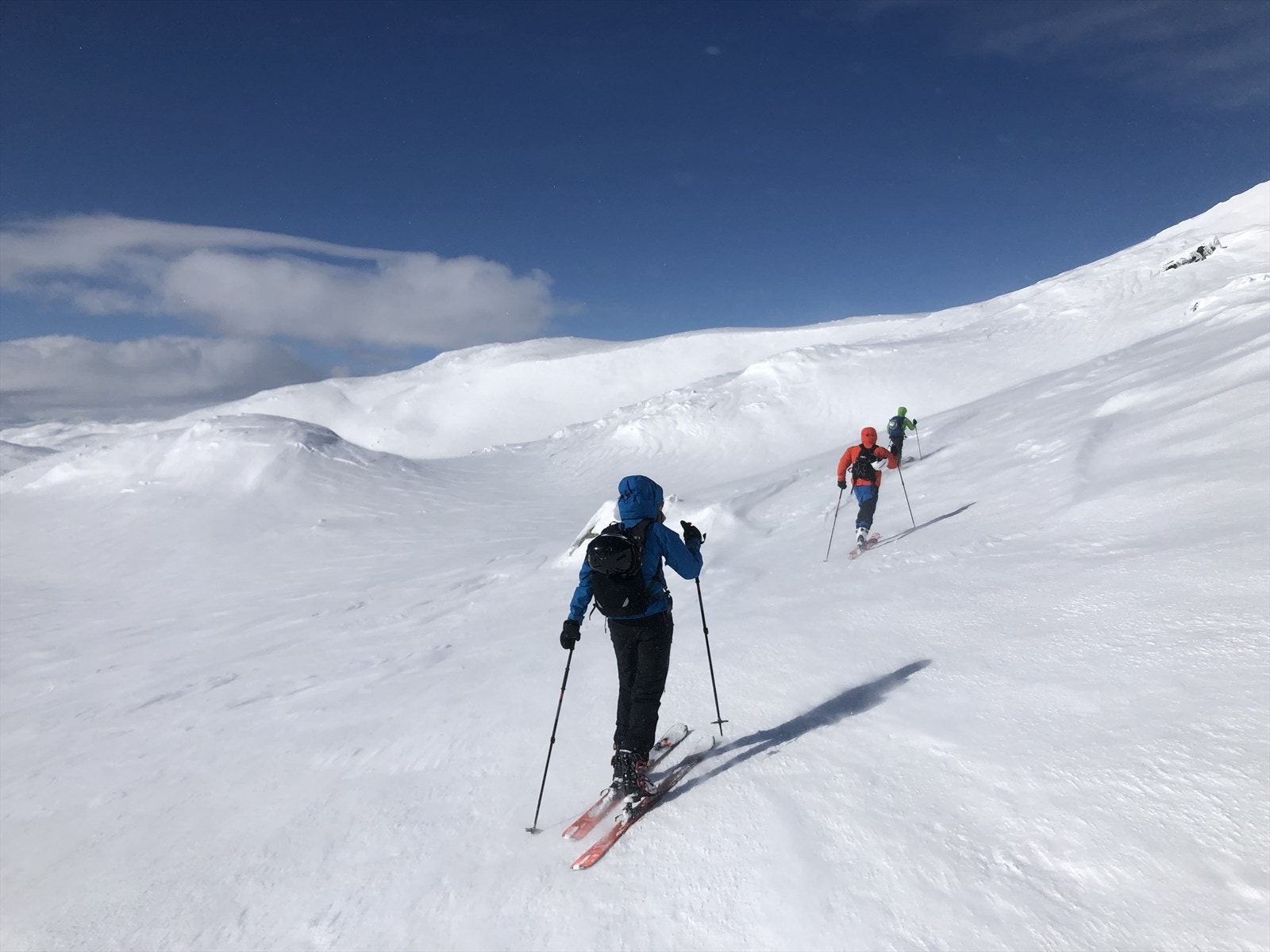Det er et ubegrenset tilbud for de mest spektakulære naturopplevelsene hele året. Galleribilde