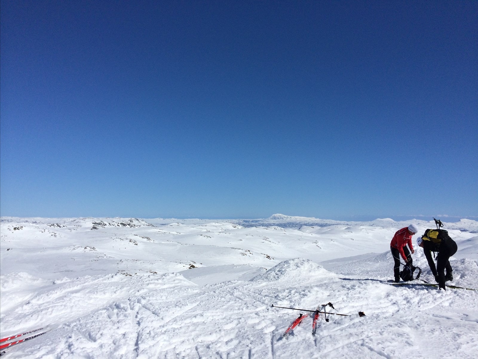 Ønsker du ta en topptur kan du nyte dette i urørt terreng. Galleribilde
