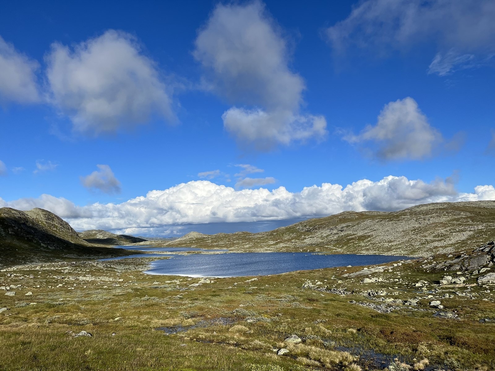 Hardangervidda byr på fantastiske fiskemuligheter i sine mange fjellvann, her har du også et rikt dyreliv og du kan oppleve synet av majestetiske reinsdyr som vandrer fritt over vidda. Galleribilde