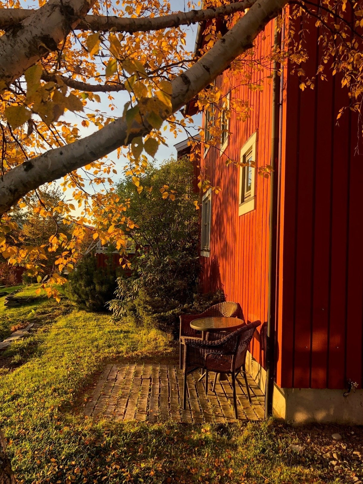 Privat bilde: Kveldssol i høsttemning. Galleribilde