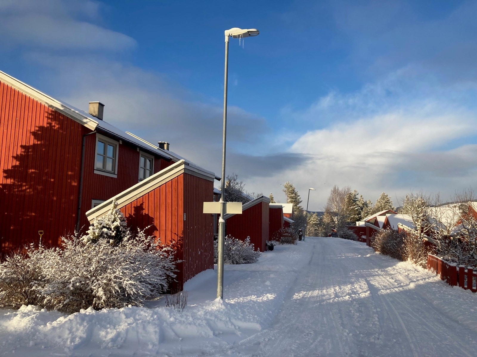 Evensmotrøa har svært begrenset med bilkjøring og er et populært område for barnefamilier. Galleribilde