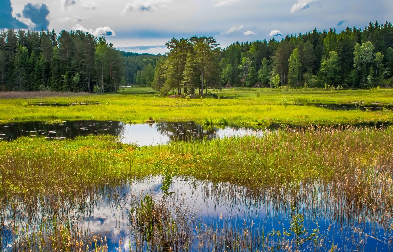 Kort vei til idylliske Østmarka med rikt utvag av turløpyer og badeplasser. Galleribilde