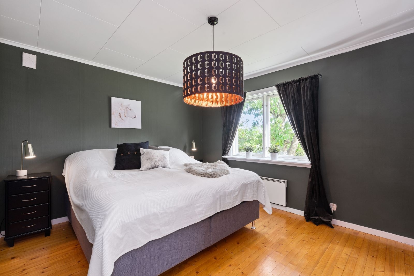 Hovedsoverom med moderne farge på vegg Galleribilde