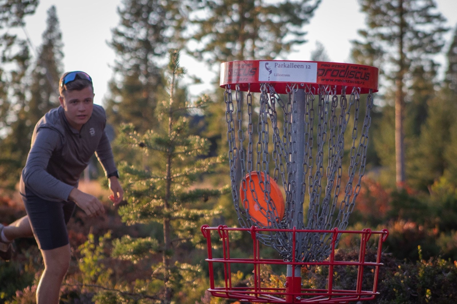 Diskgolf. Furutangen Diskgolfpark er en spennende 24 hulls bane, med muligheter for å velge ulike baner. Galleribilde