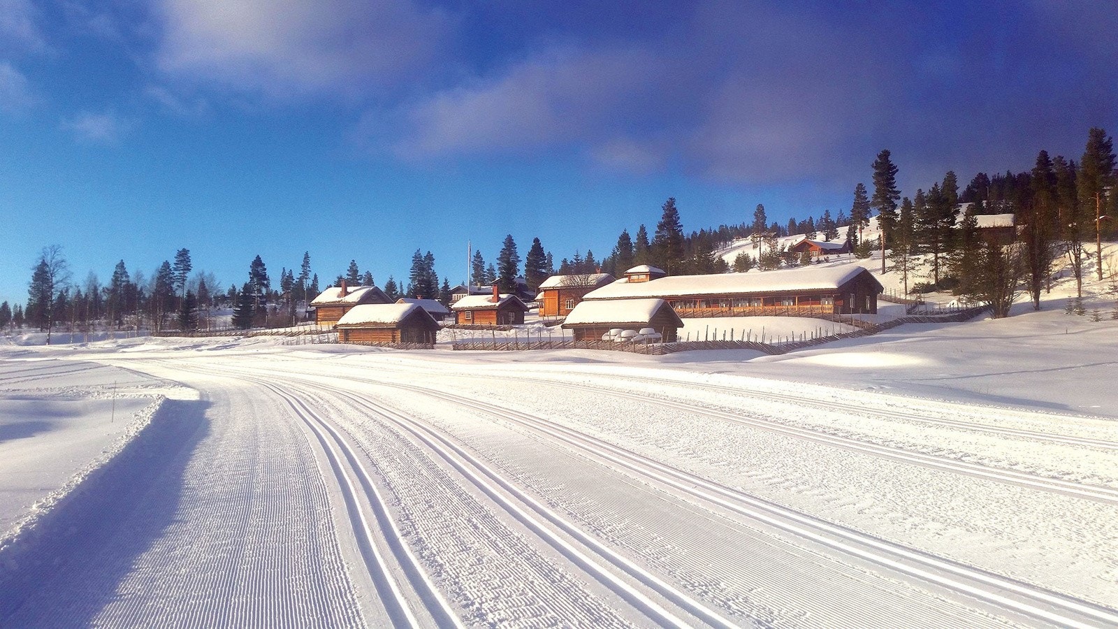 Skiløyper Gamle Furutangen. Galleribilde