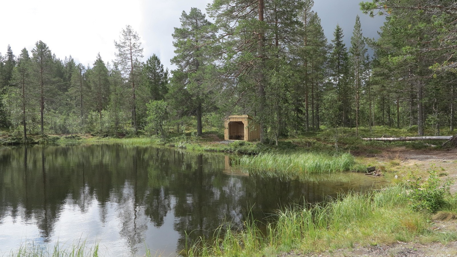 Fiskevann, ca. 5 min unna feltet. Galleribilde